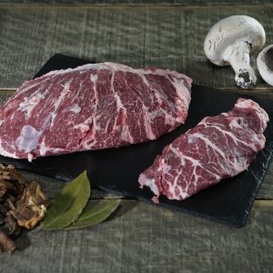Presa ibérica